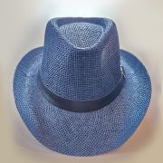 Fedora Hats 🎩♥♣