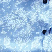 Cotton Printed Ethnic Art