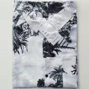 Tropical Palm Print