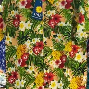 São João Spirit