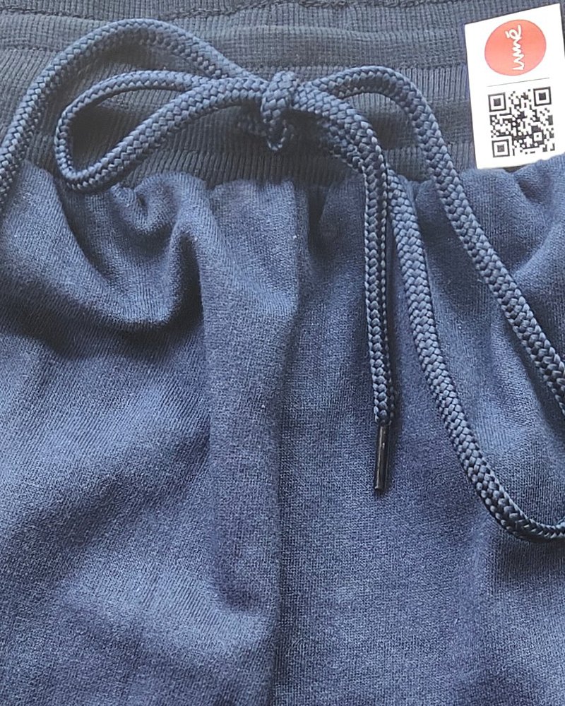Shorts 2026 blue 1A